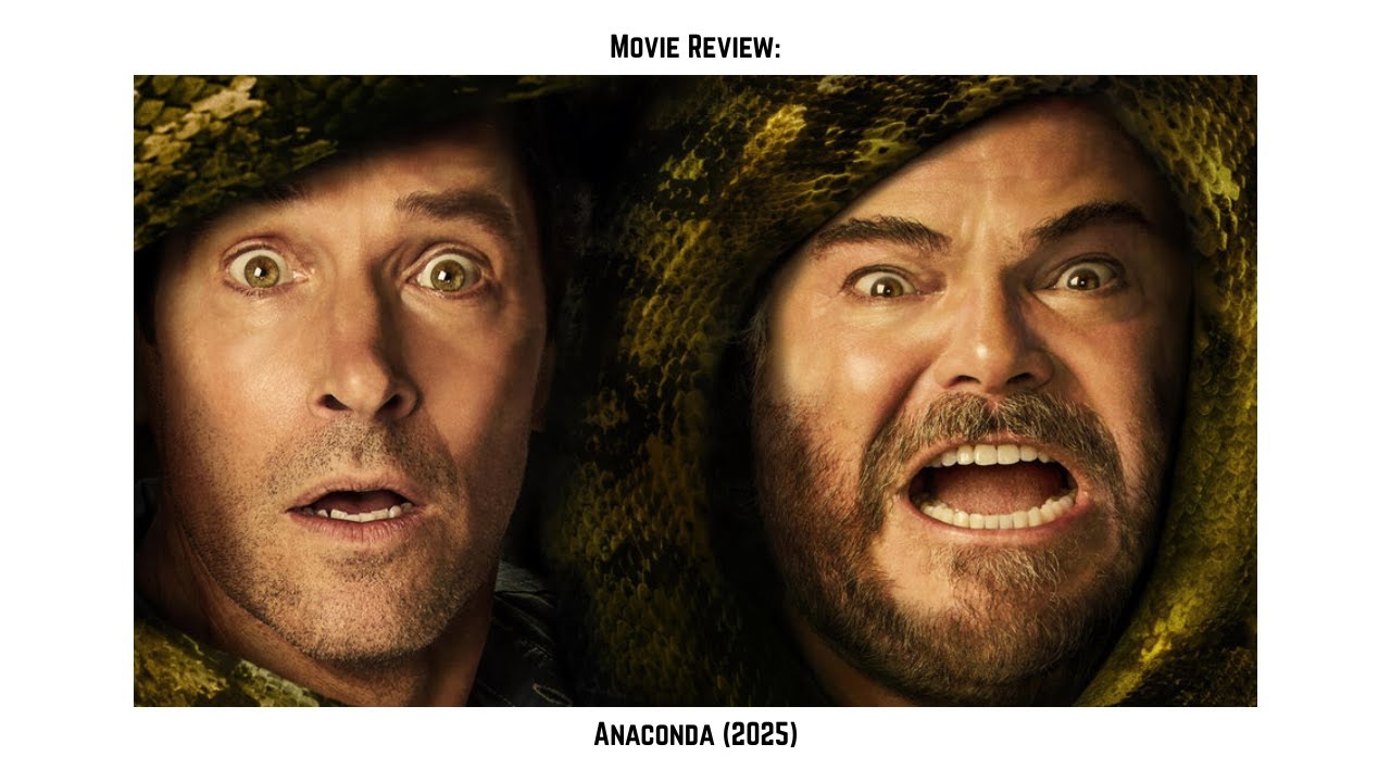 AG Lowkey Reviews: (Anaconda 2025)