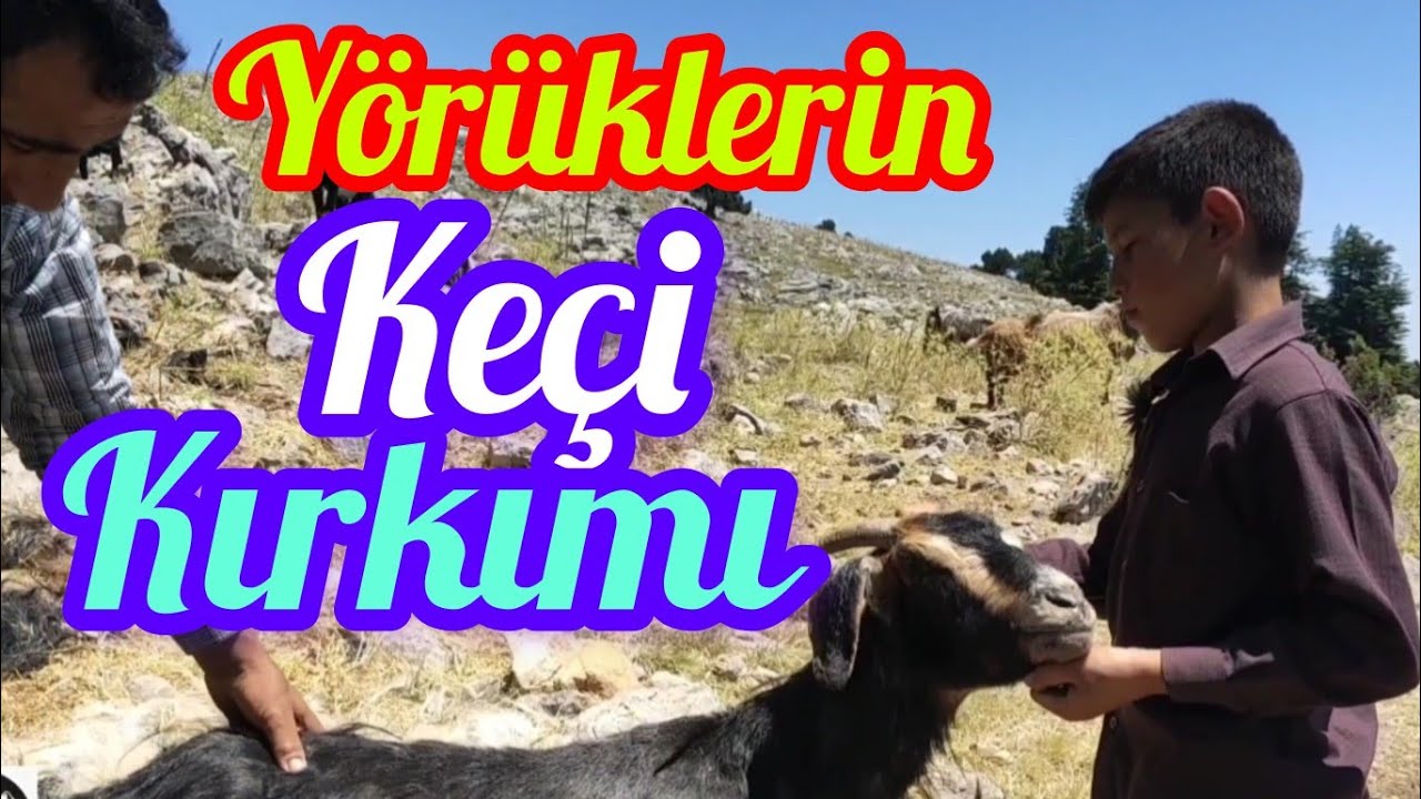 YÖRÜKLERDE KIRKIM ZAMANI-TOROSLARIN YÖRÜKLERİ-BOLKARLARDA YAŞAM-GÖÇERLERİN HAYATI