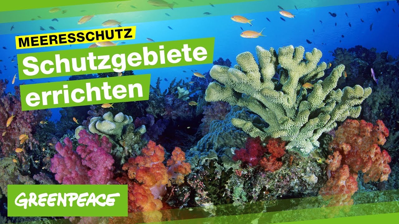Schutzgebiete: Die Chance für unsere Meere