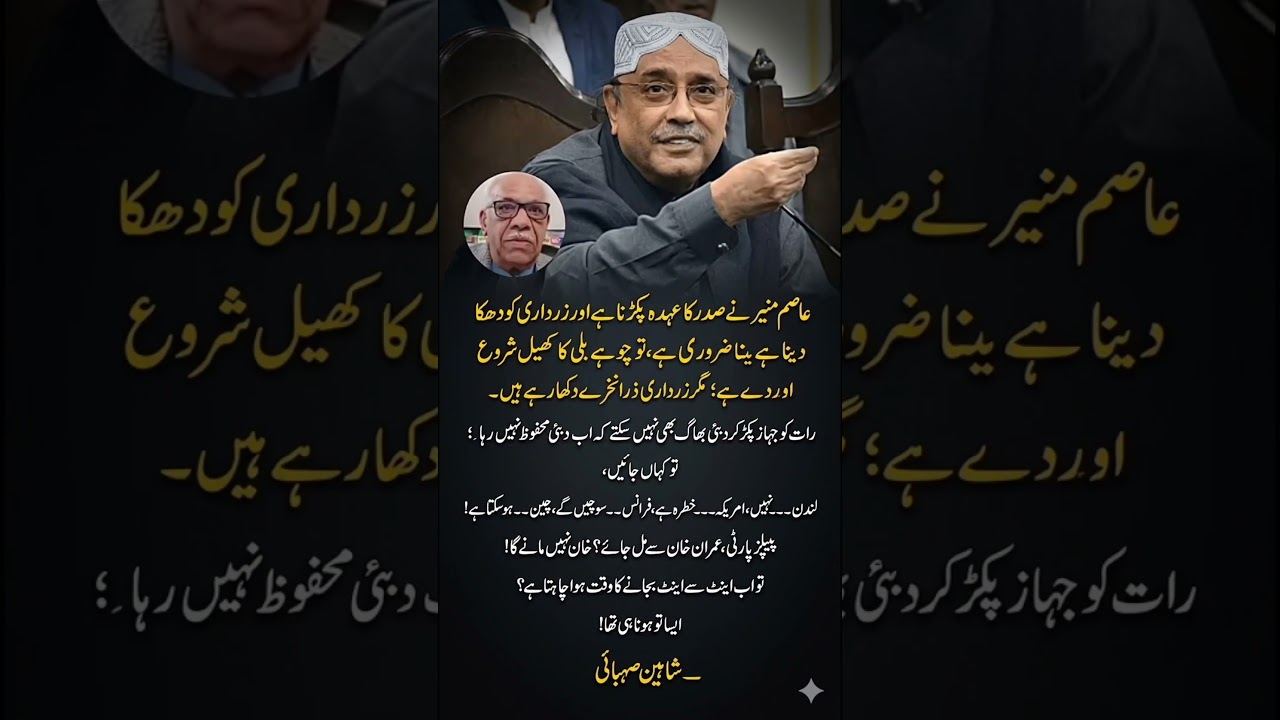 Asim Munir, Zardari & Pakistan's Power Struggle | Shahin Sehbai's Explosive Analysis