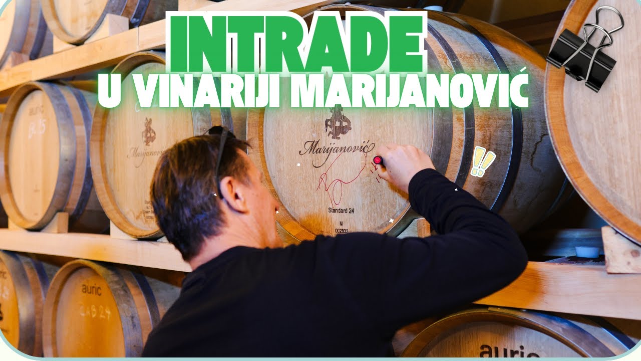 INTRADE U VINARIJI MARIJANOVIĆ #klapaintrade #tomislavbralic #wine 