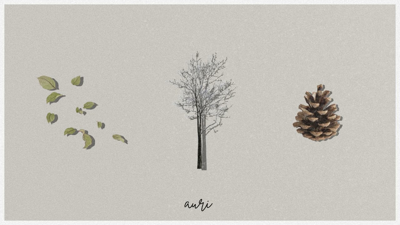 warm winter reflection in slow motion