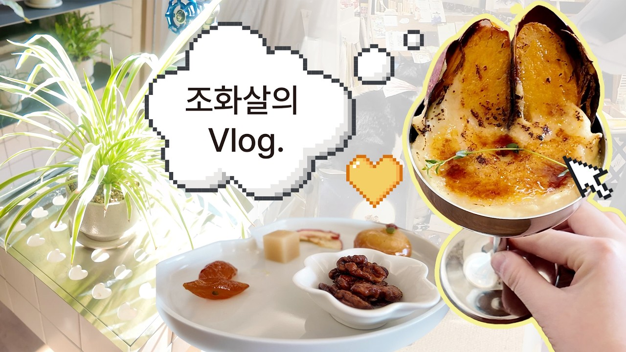 동묘 광주식당 동태찌개, 서촌 연경당, 성수 하츠하우스 카페, 성북동 책보냥 하루 일상 브이로그