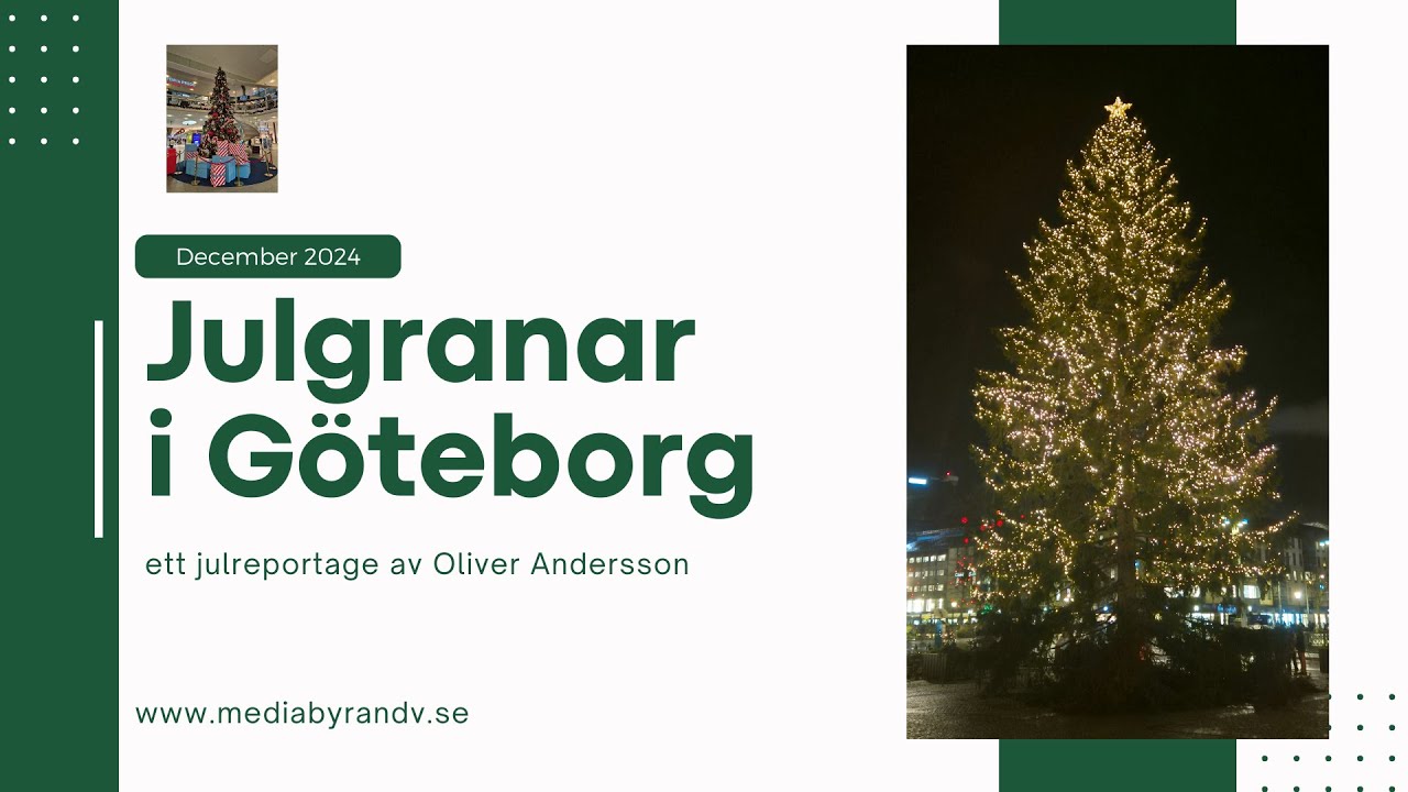 Reportage: Julgranar i G&ouml;teborg