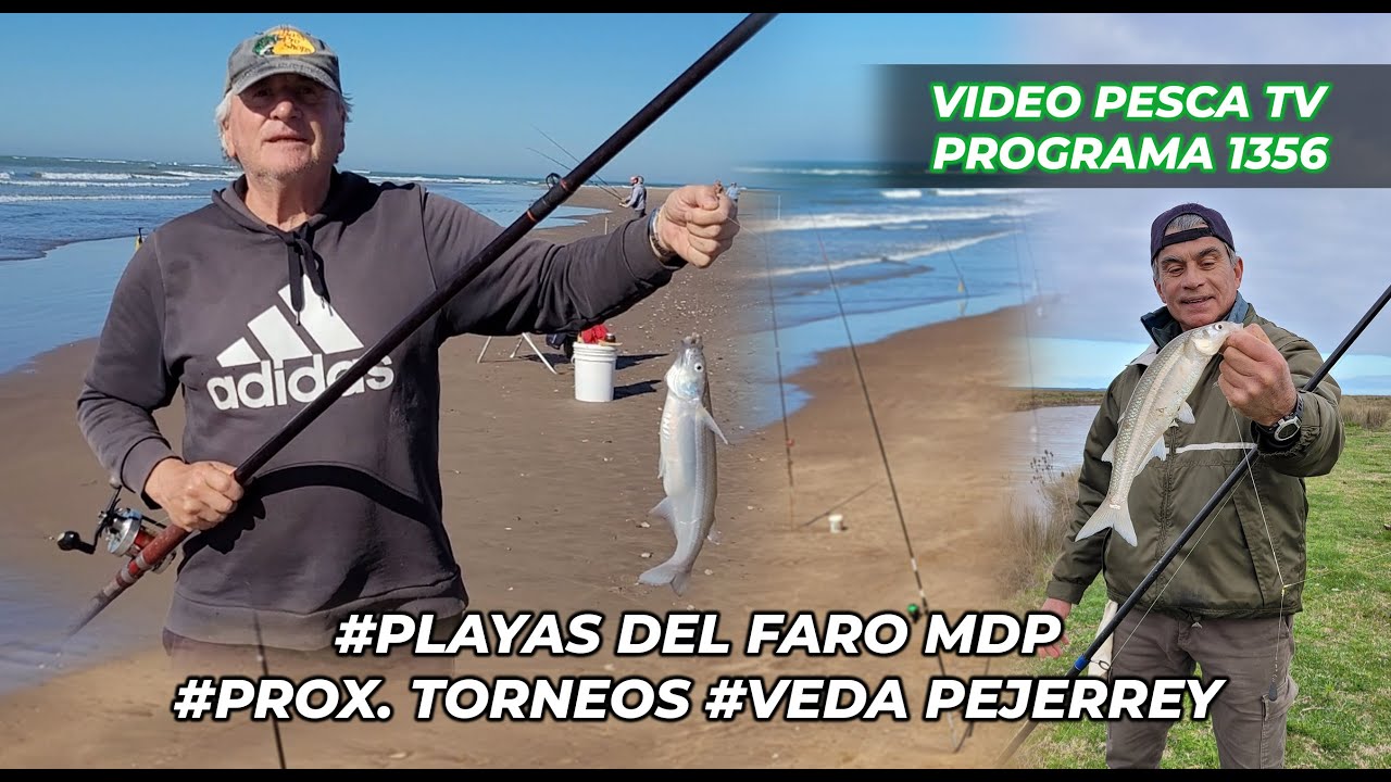 PESCA EN LAS PLAYAS DEL FARO, CARACTERISTICAS DEL PEJE PANZON, VEDA PEJERREY, PRÓX. TORNEOS 