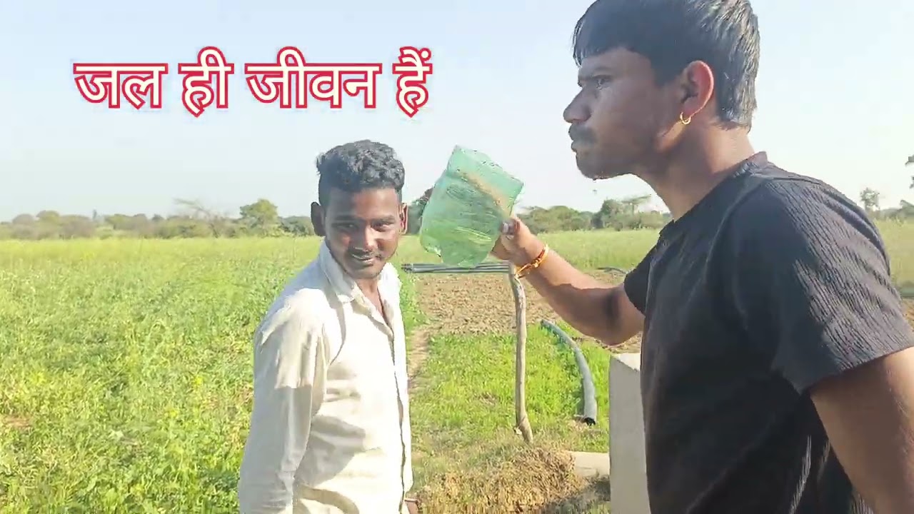 🫛मटर का होरा 🫛matar ka Hora अपने खेत में होरा🫛🫛 भूँजा मस्ती इंजॉय फरवरी में पहली बार मटर #hamirpur 