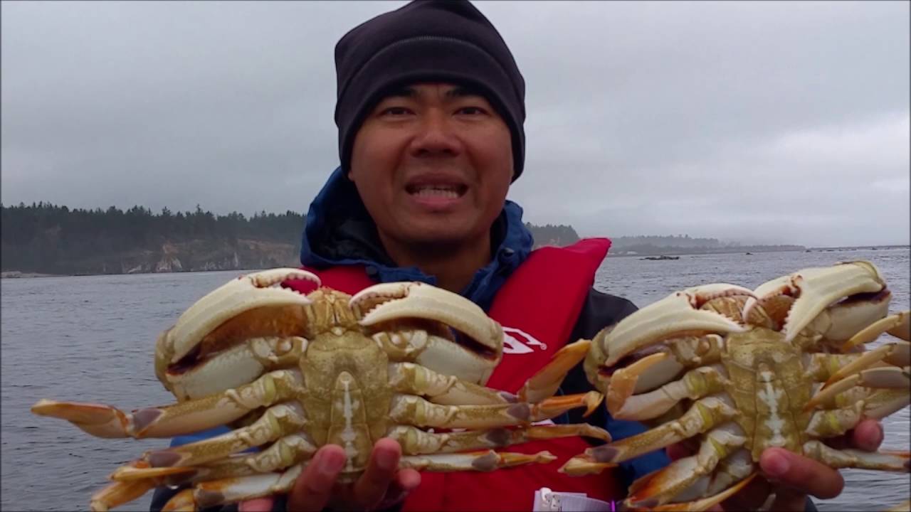 oregon coast crabbing catching giant dungeness crab