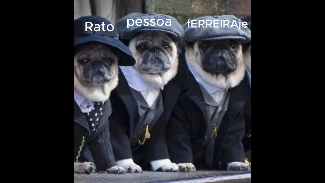 TRIO TAGE  Pessoa & Rato🧃 & fERREIRAje Peaky Blinders 🚬| Atlantic RP 🌊#pvp