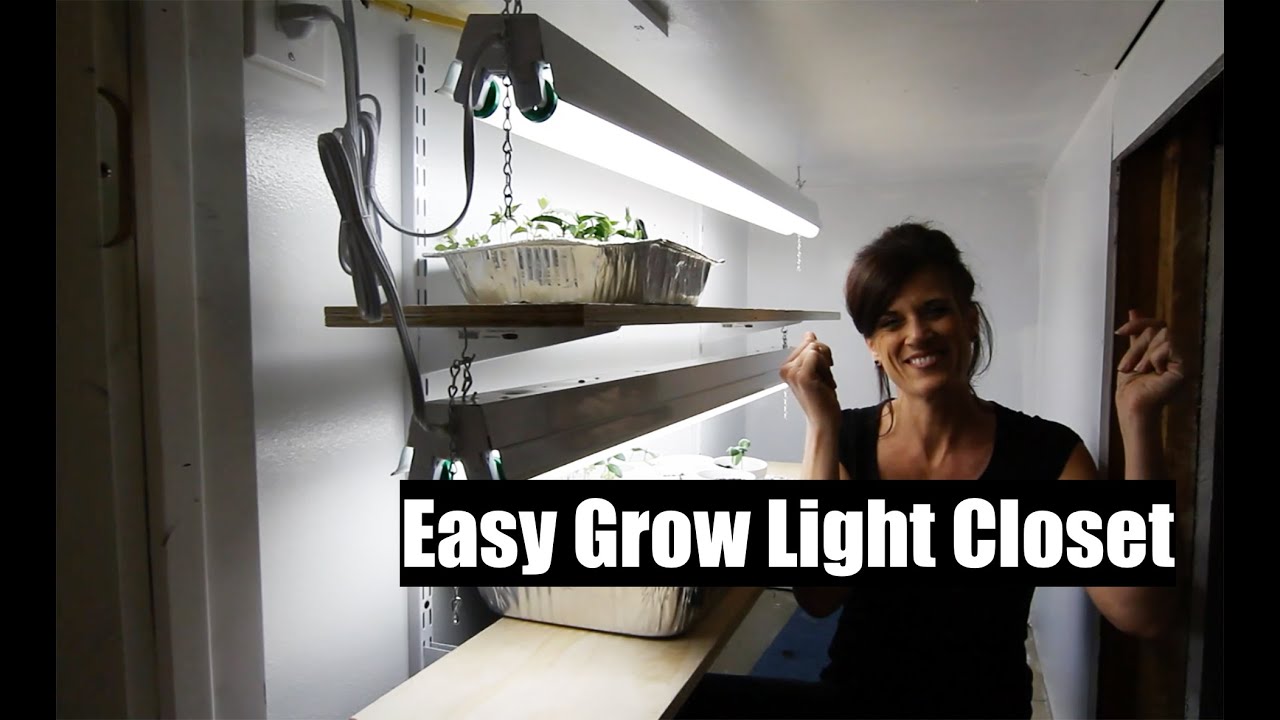 How To Build an Easy DIY Indoor Grow Light Closet for Veggie Seedlings