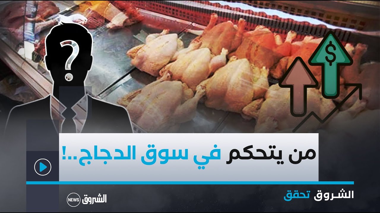 الشروق تحقق | البورصة الغامضة .. من يتحكم في أسعار الدجاج بالجزائر..الحقيقة الكاملة