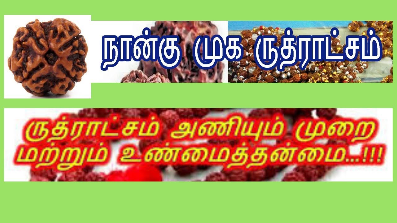 4 முக ருத்ராட்சத்தின் பெருமை-மகிமை