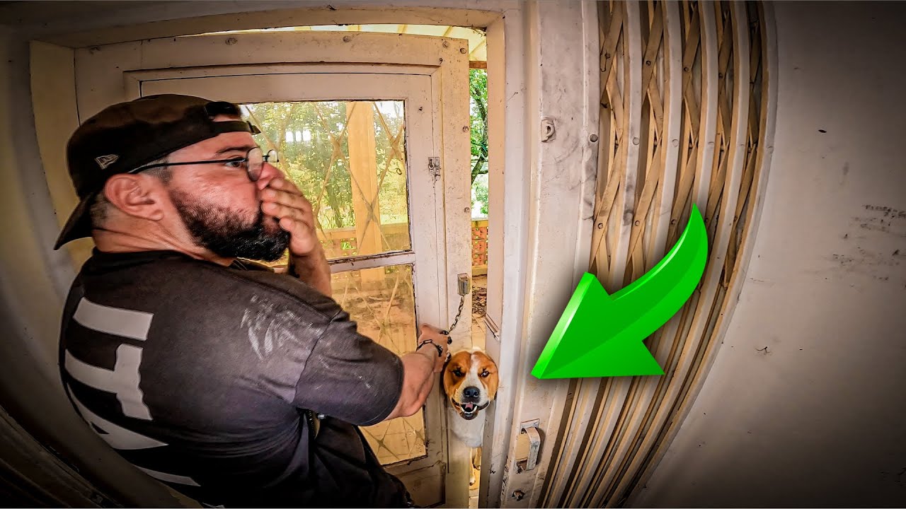 TIVEMOS QUE FICAR EM SILÊNCIO APÓS SERMOS CERCADOS POR CACHORROS DENTRO DESSE CASARÃO ABANDONADO!