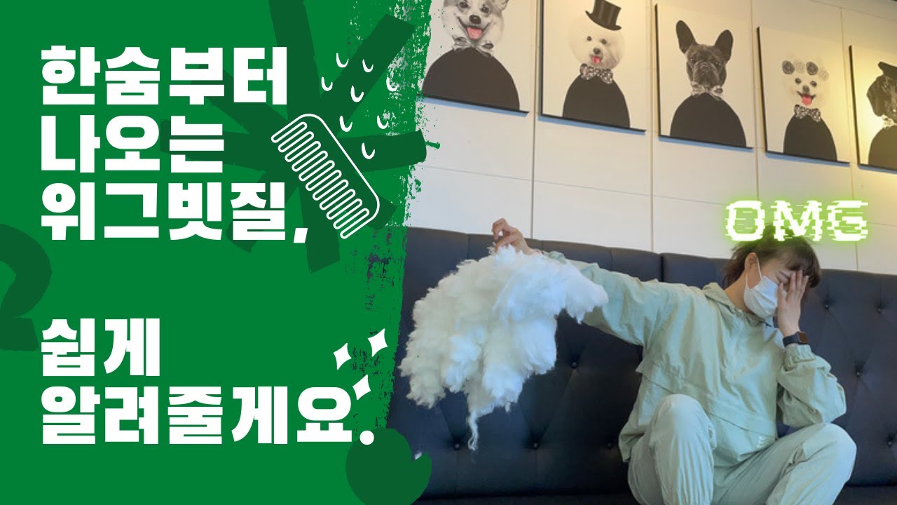 이 영상을 보고 위그 빗질이 쉬워졌습니다.