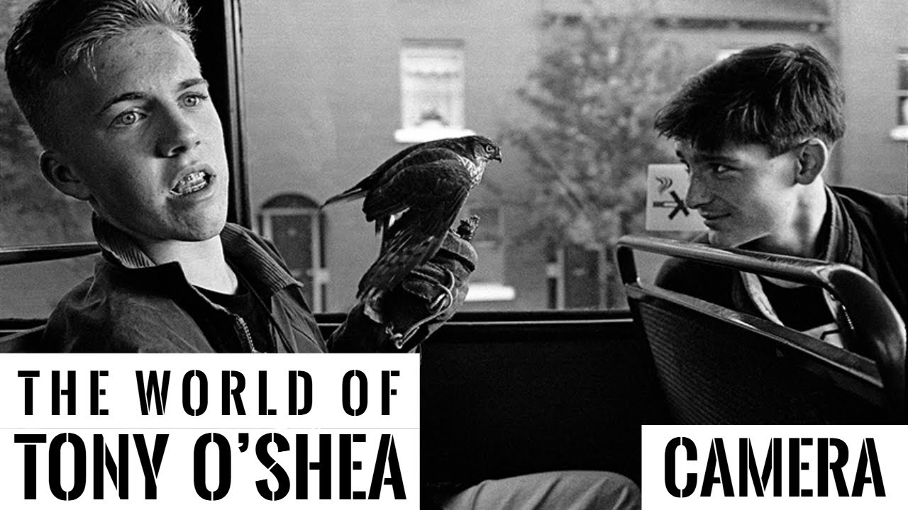 THE WORLD OF Tony O’Shea