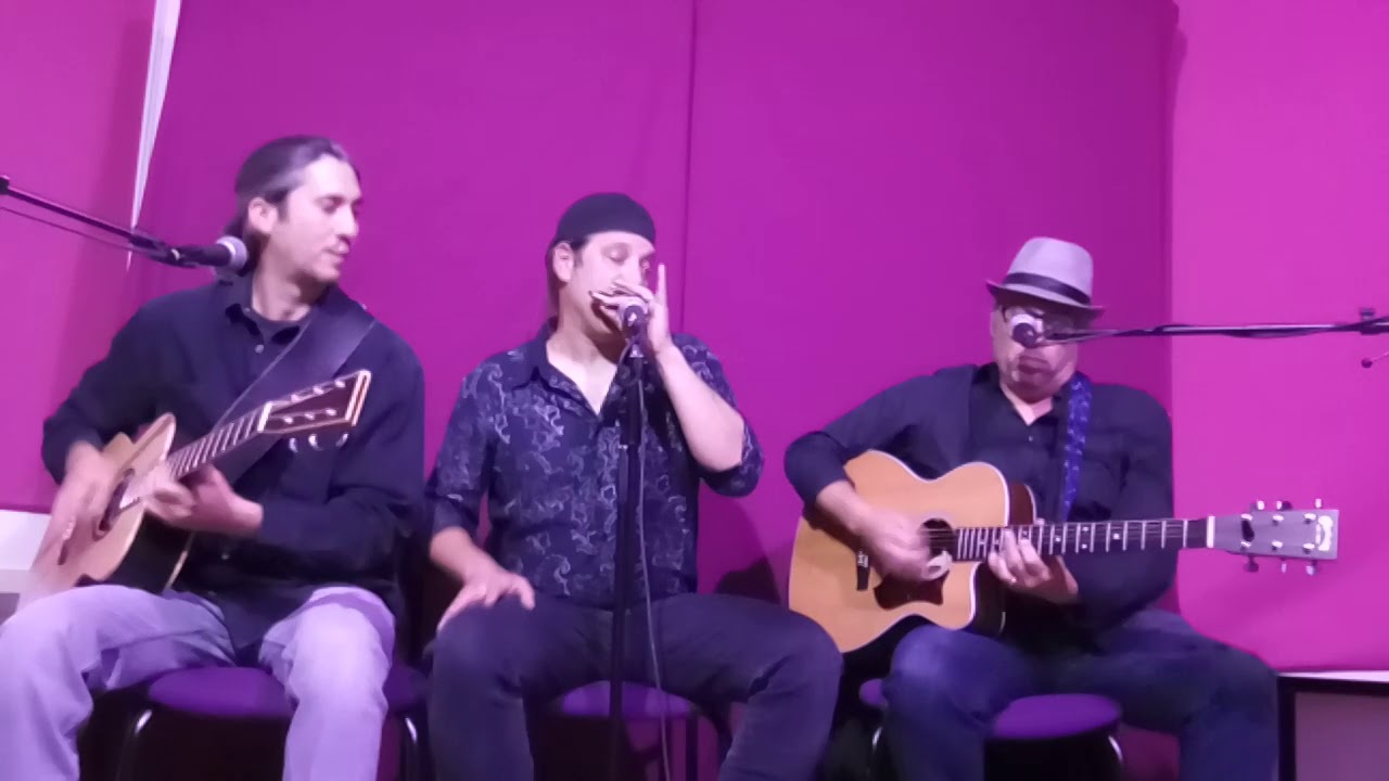 Dov Hammer's Blues power - 
