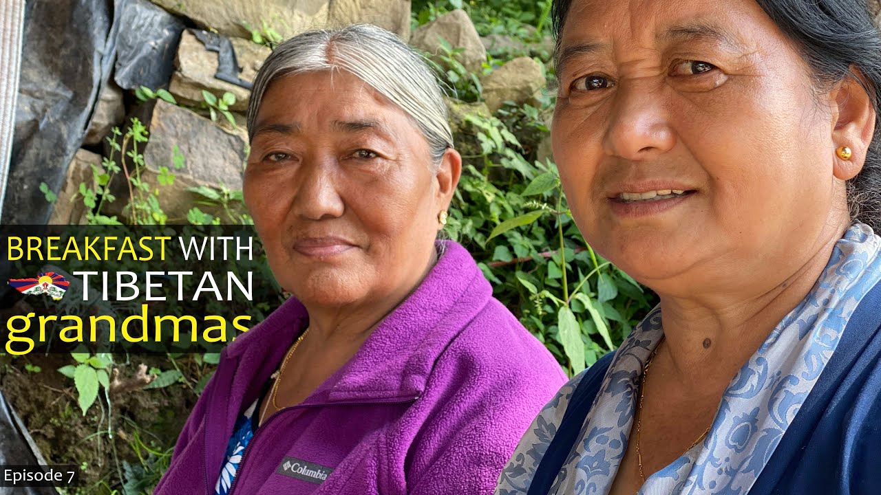 Breakfast with Tibetan Momola-Tso (Grandmas) in McLeod Ganj