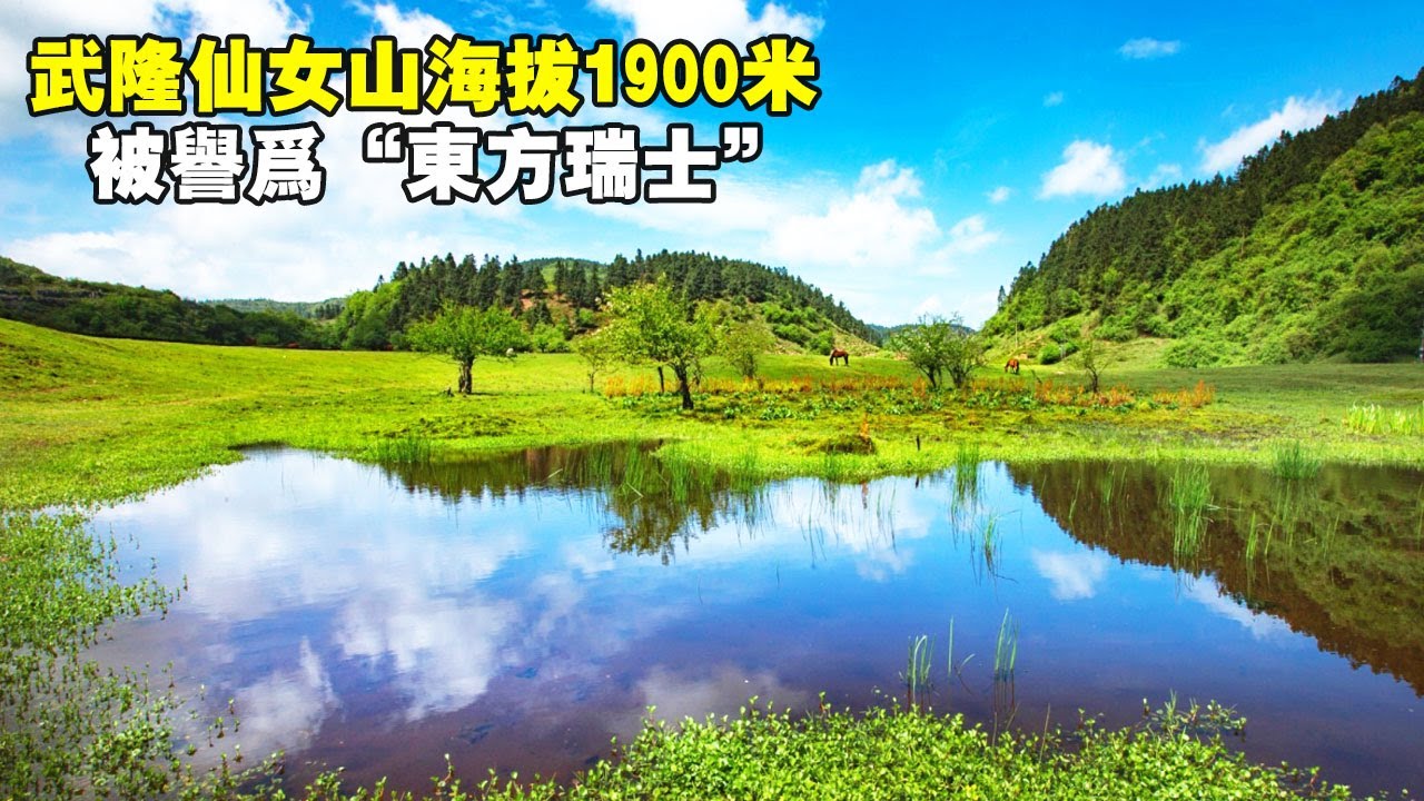 自駕武隆仙女山，5A景區平均海拔1900米，被譽為&ldquo;東方瑞士&rdquo;【大海去旅行】