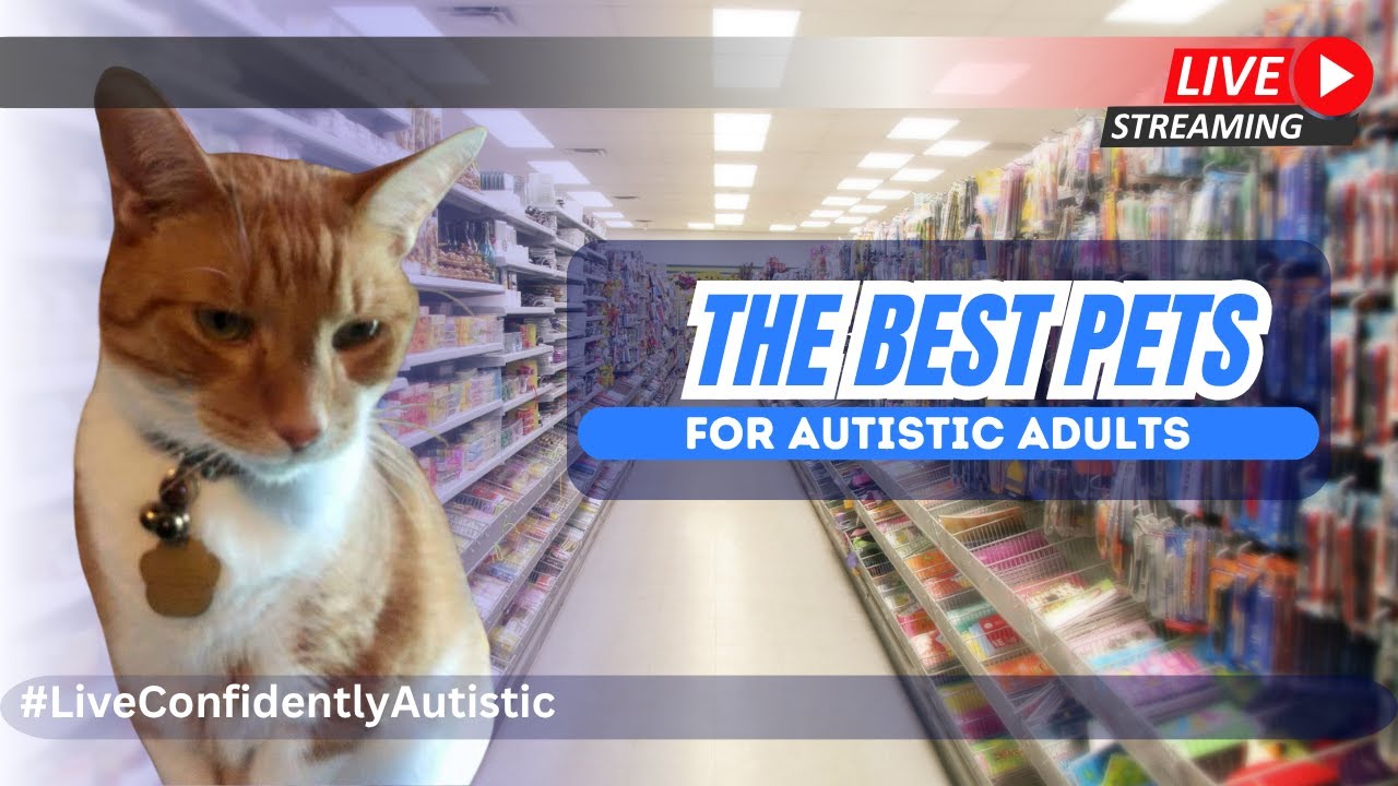 What are the Best Pets for Autistic Adults — and How They Help Us Thrive