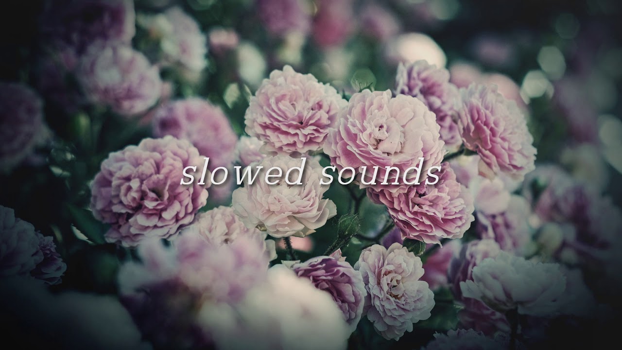 shawn mendes - mercy (slowed down)
