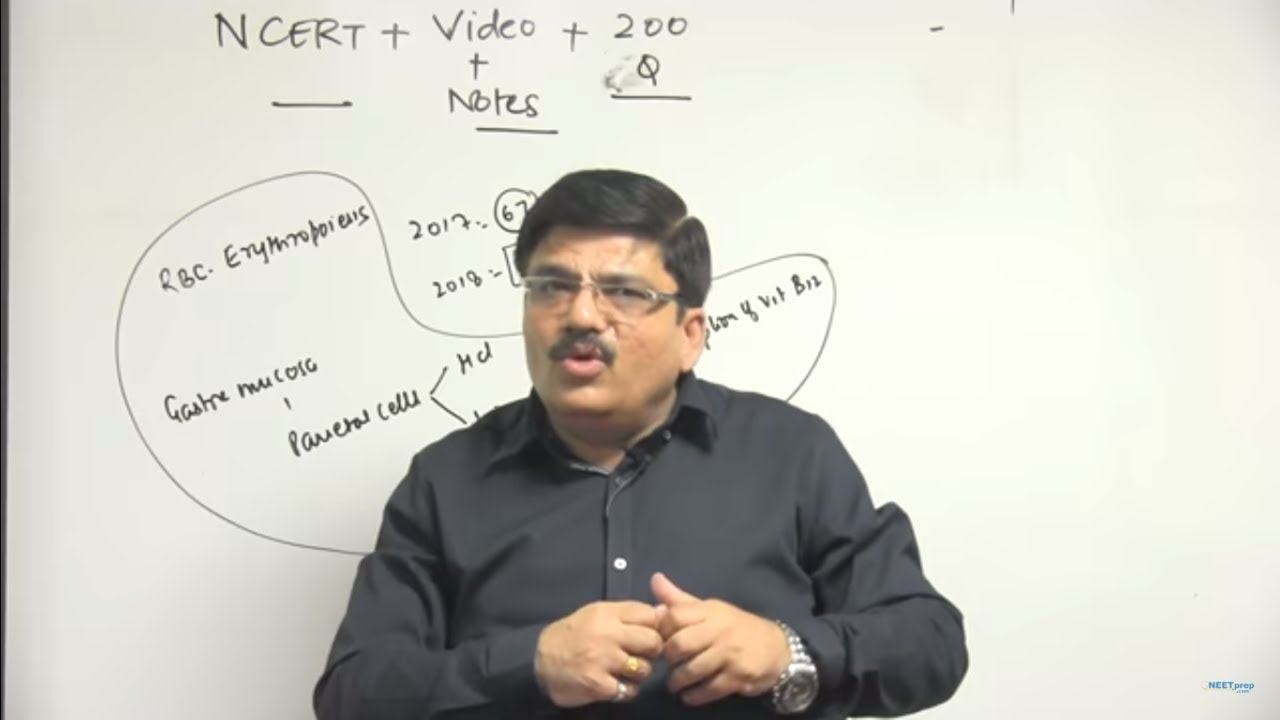 How to Study Biology to Crack NEET? Call at 8527521718 to start preparing today
