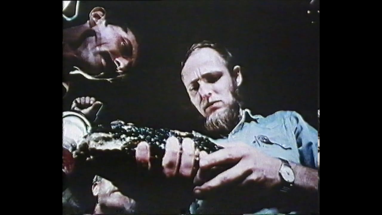 National Geographic: Strange Creatures of the Night (1973)