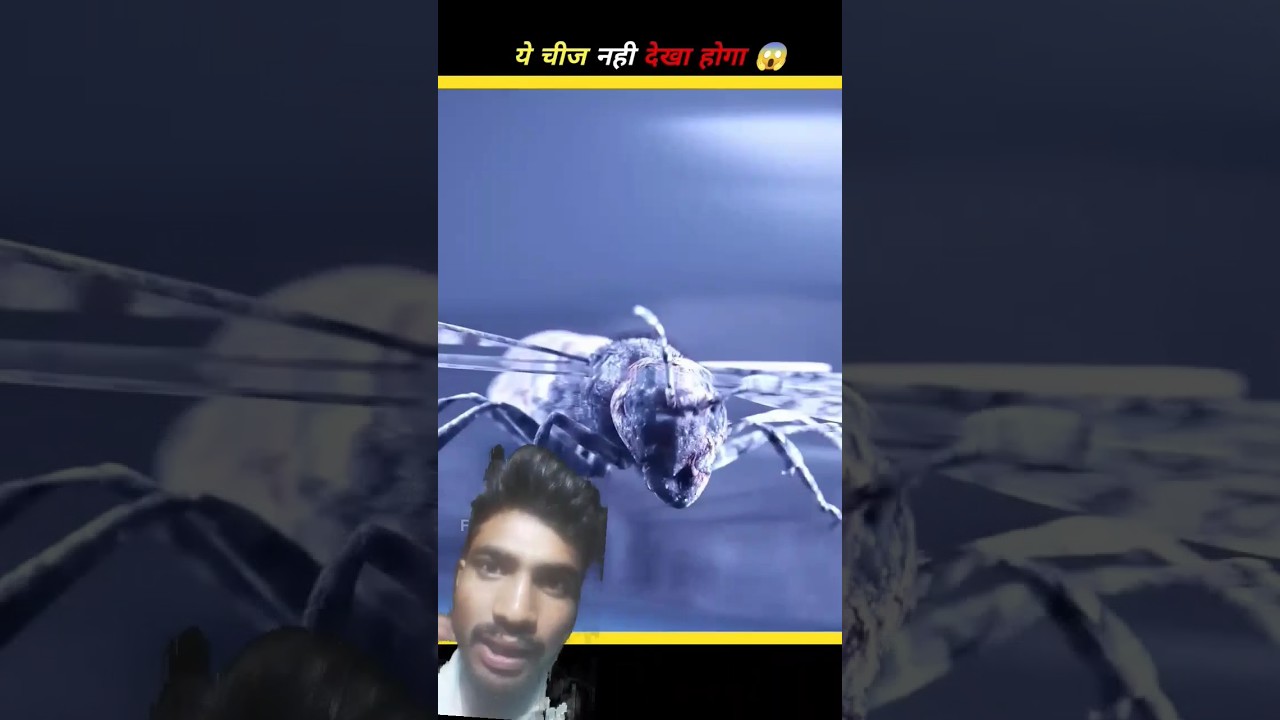 #holi