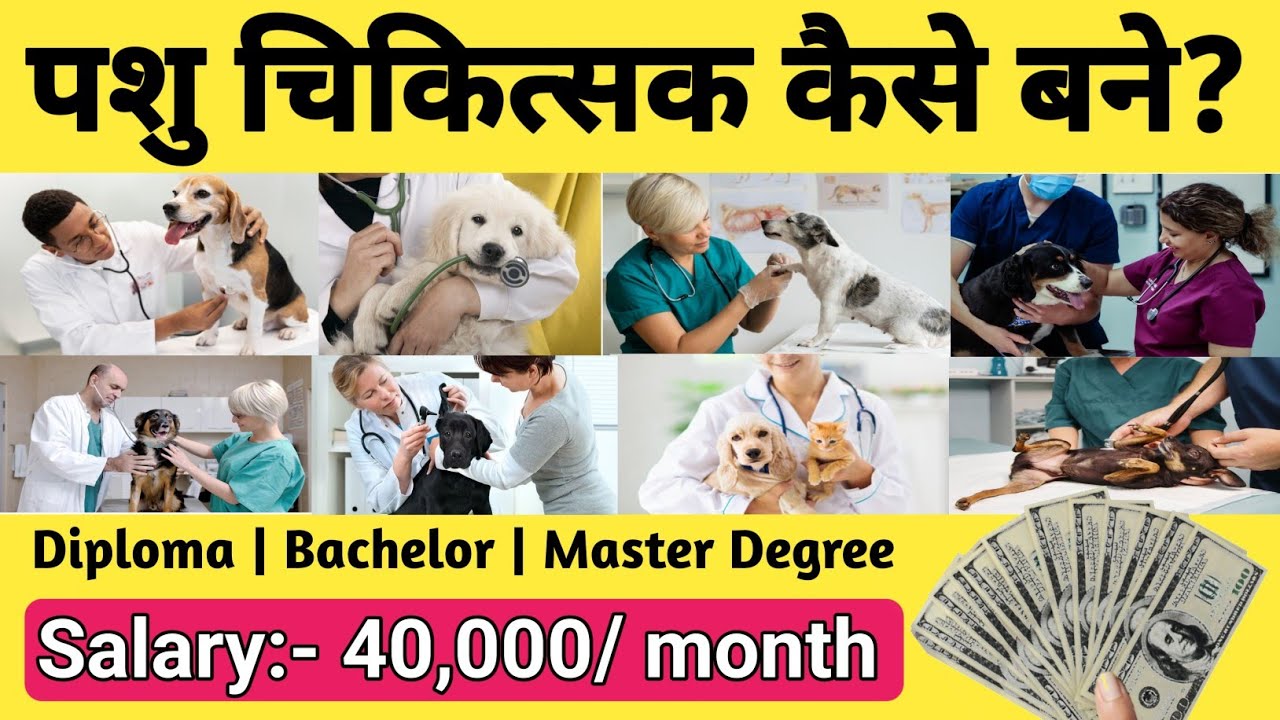 पशु चिकित्सक कैसे बने?[ हिन्दी में ] || Veterinary doctor kaise bane || Veterinary doctor course