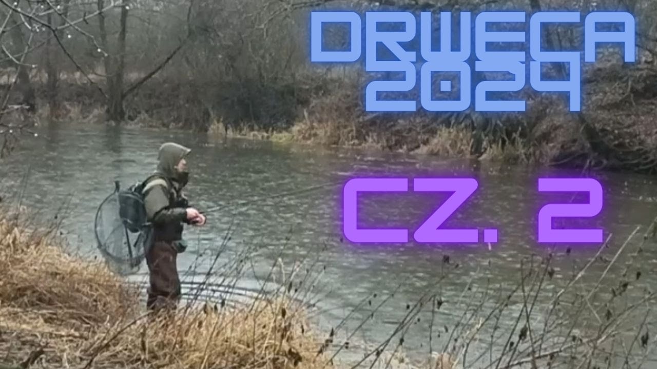 PIĘKNA DRWĘCA TROĆ 2024 Część 2