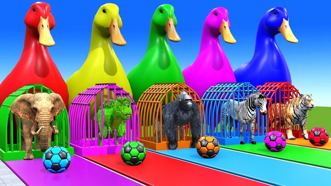 Long Slide Game With Cow Elephant Gorilla Hippopotamus Tiger 3d Animal Game Funny 3d Animals
