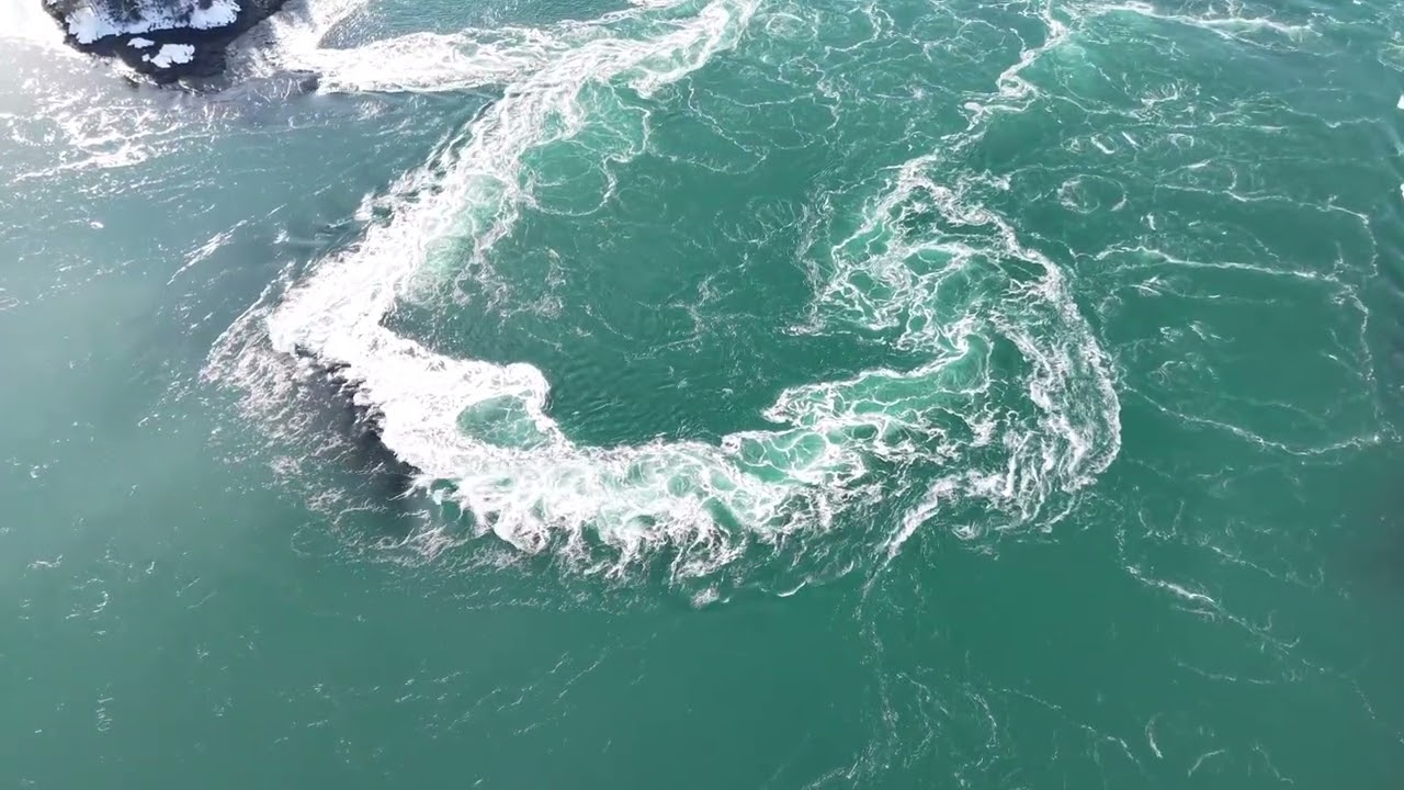 Reversing Falls Park
