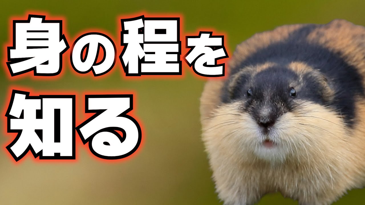 旅するレミング、バケモノに出会う