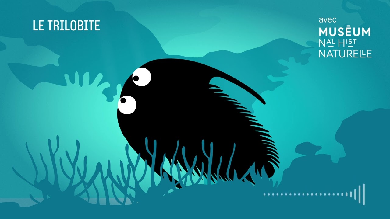 Vie, mort et résurrection d’un Trilobite - Bestioles fossiles