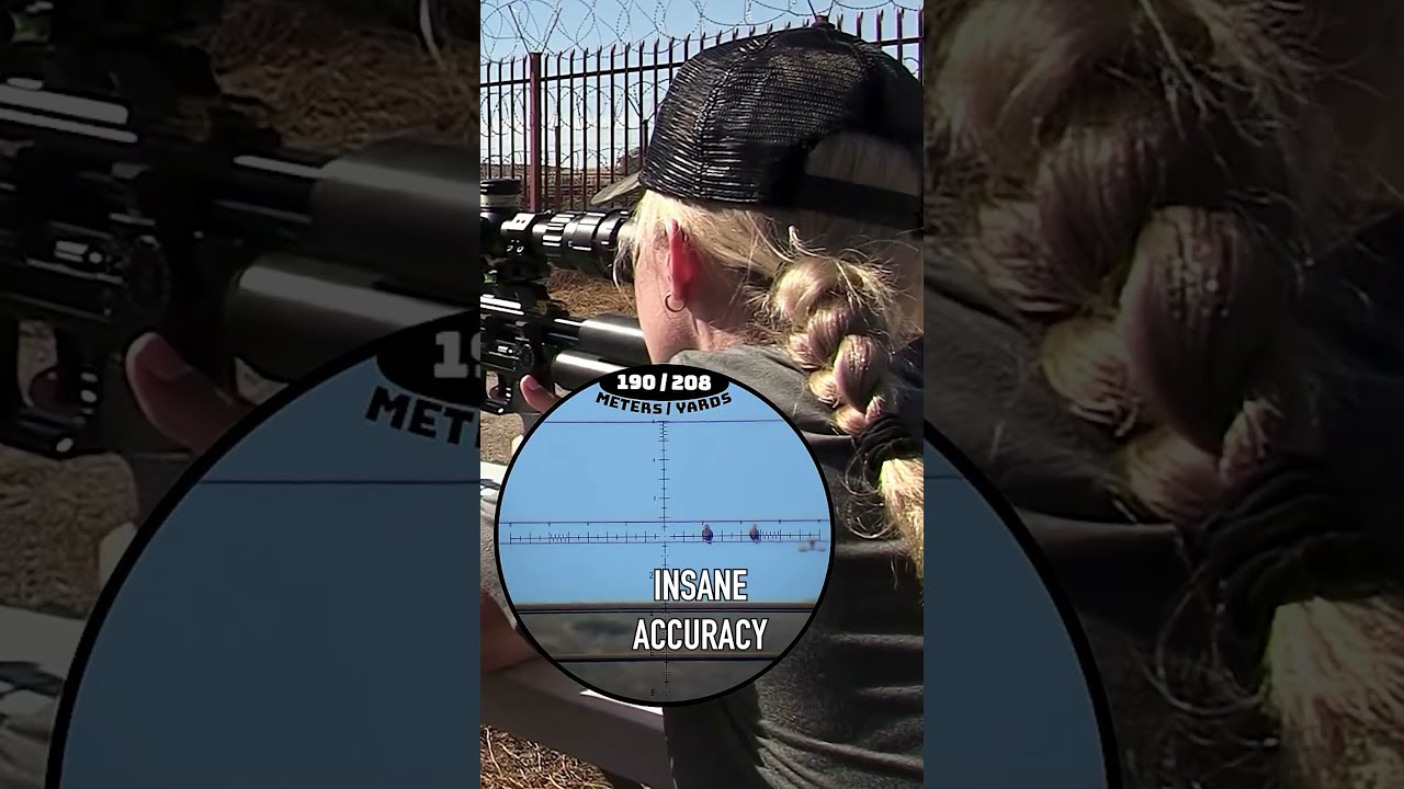 Insane Air Gun Accuracy #fxairguns