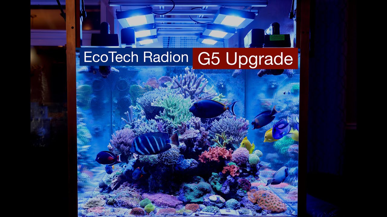 Upgrading to EcoTech Radions Gen 5