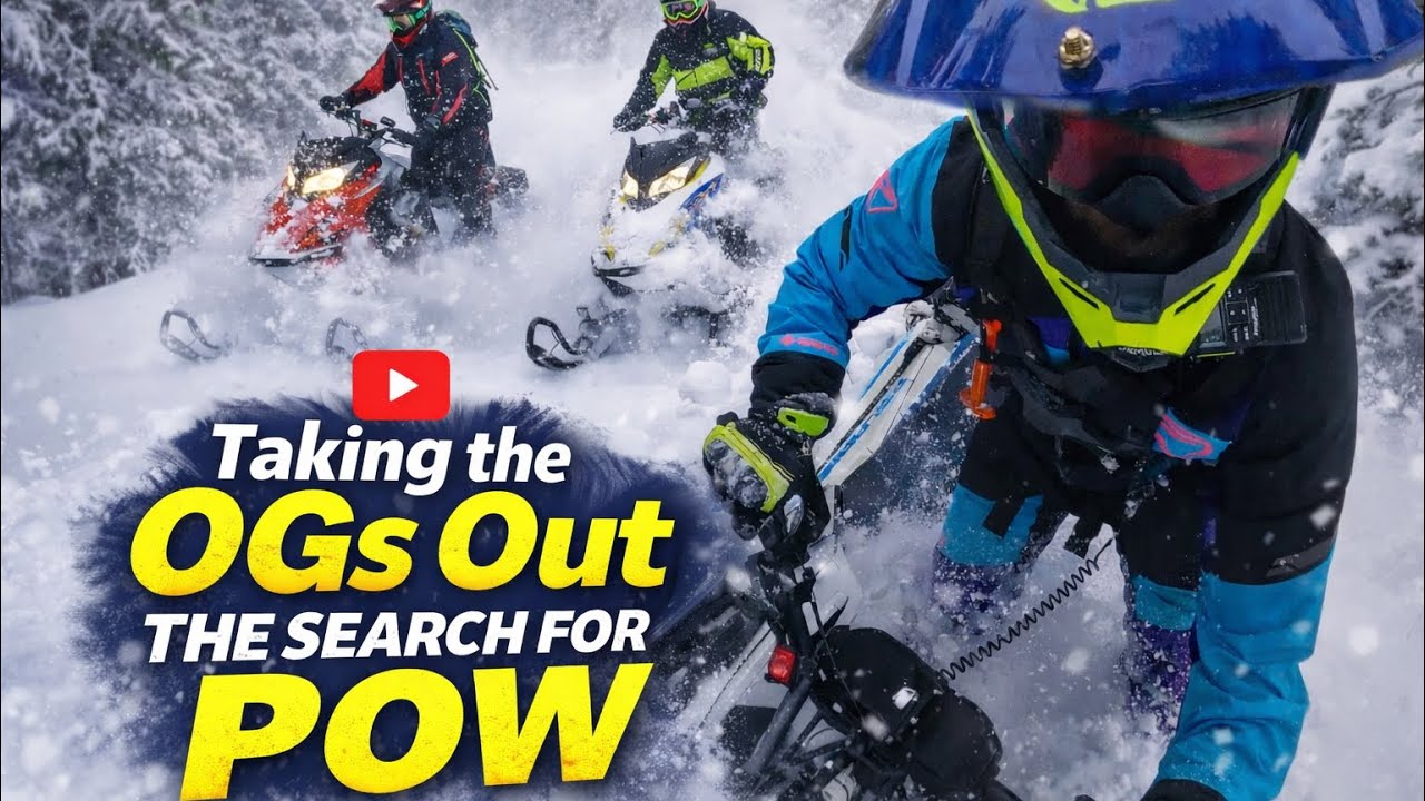 Taking the OG's Out: Search for Pow.