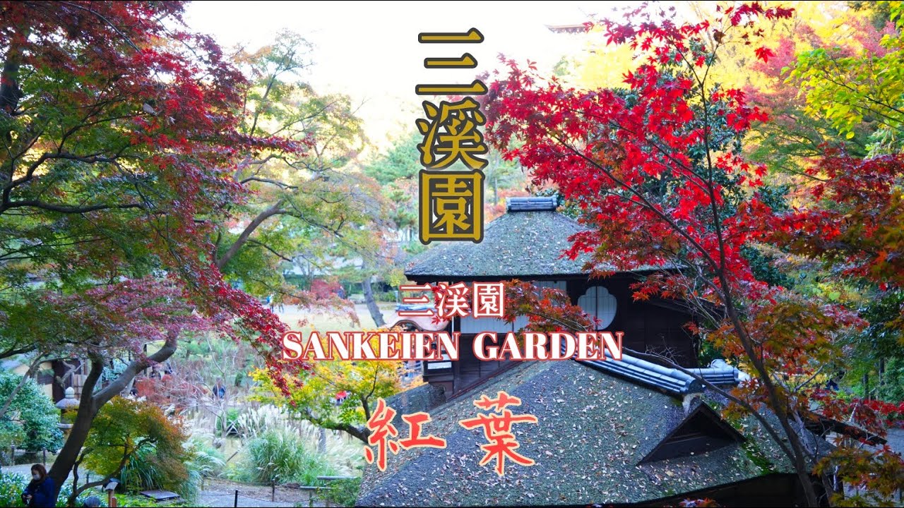 横浜・三溪園に紅葉を見に行きました！｜2024年11月30日（土）