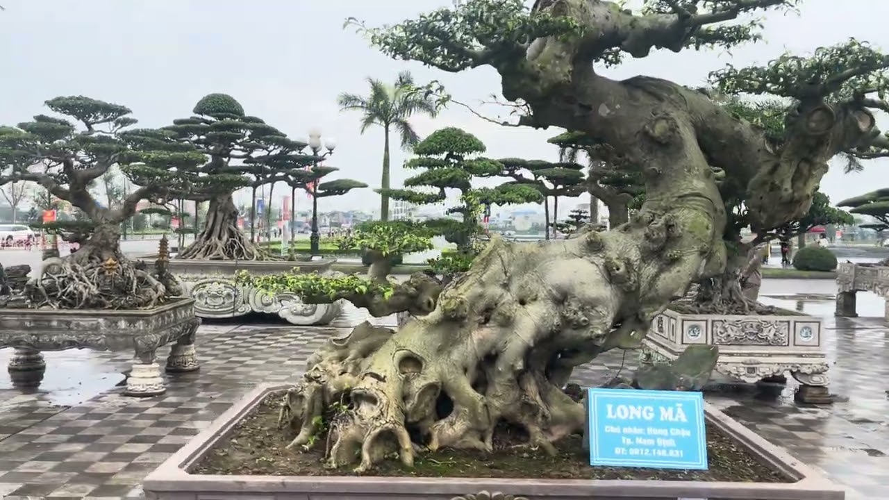 Sanh Nam Điền, Đền Trần