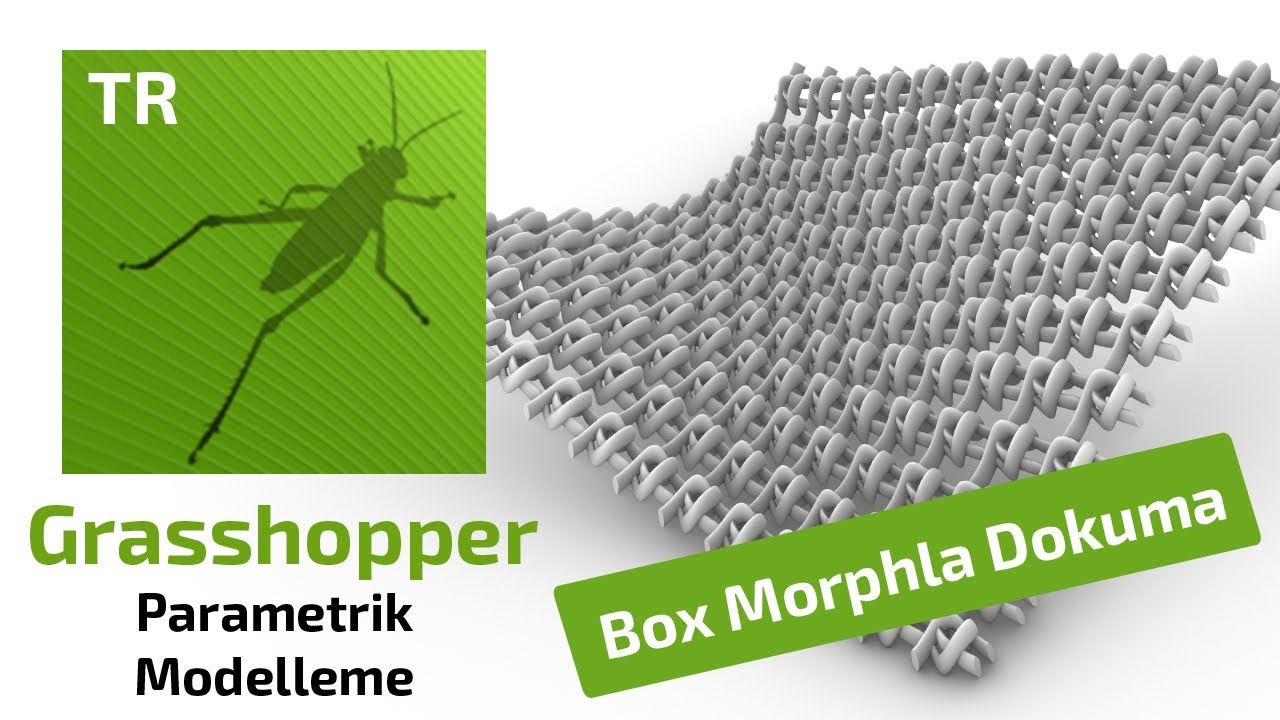 Grasshopper Parametrik Modelleme: Box Morph Dokuma