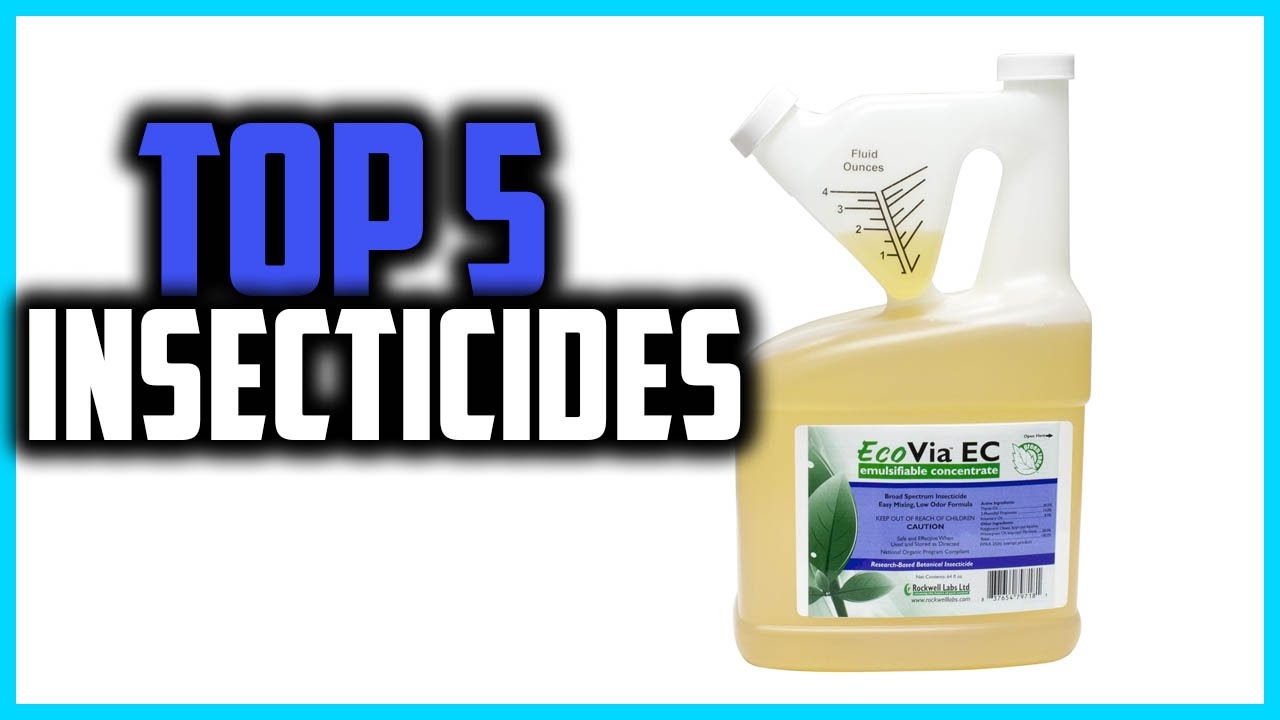 ✅Top 5 Best Insecticides in 2026