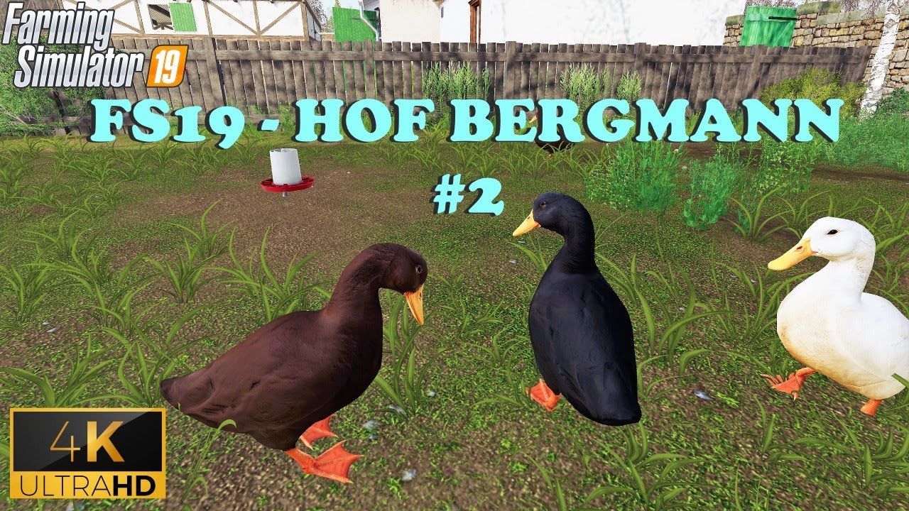 LET'S GET SOME COWS & DUCKS! - FS19 Hof Bergmann #2