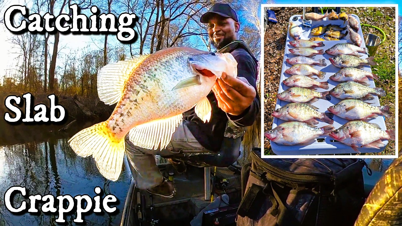 Solo Crappie Fishing at Lake Chicot 2/6/26
