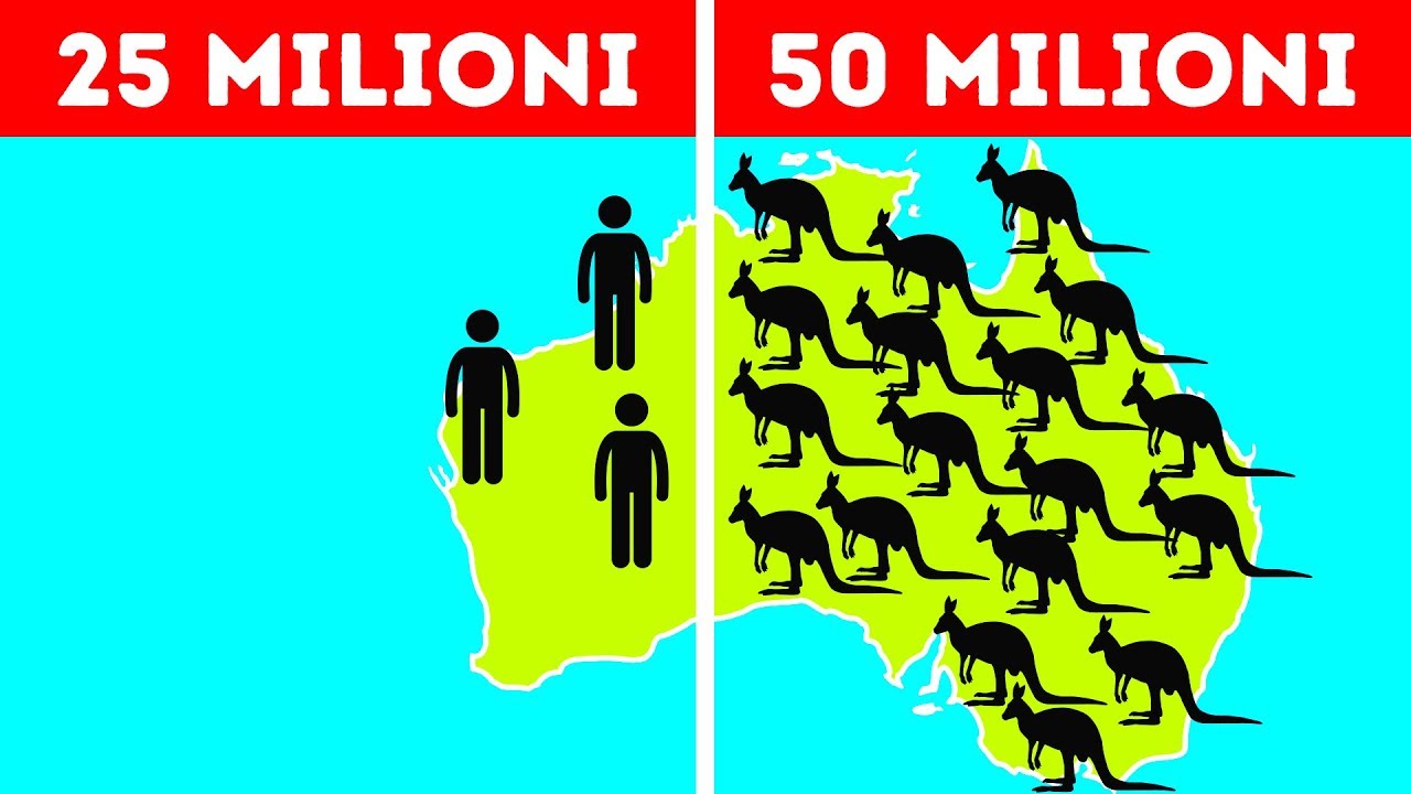50 Fatti Sull’Australia che non Lasciano Spazio agli Stereotipi
