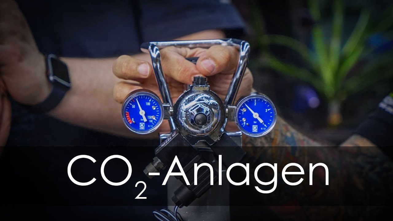 CO2-Anlagen erklärt | Aquado-Zoo Dortmund