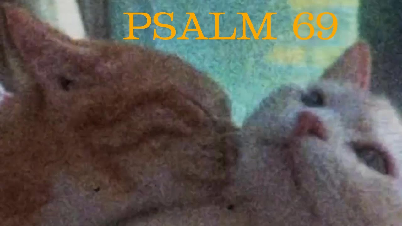 I Am A Foreigner To My Own Family | Psalm 69