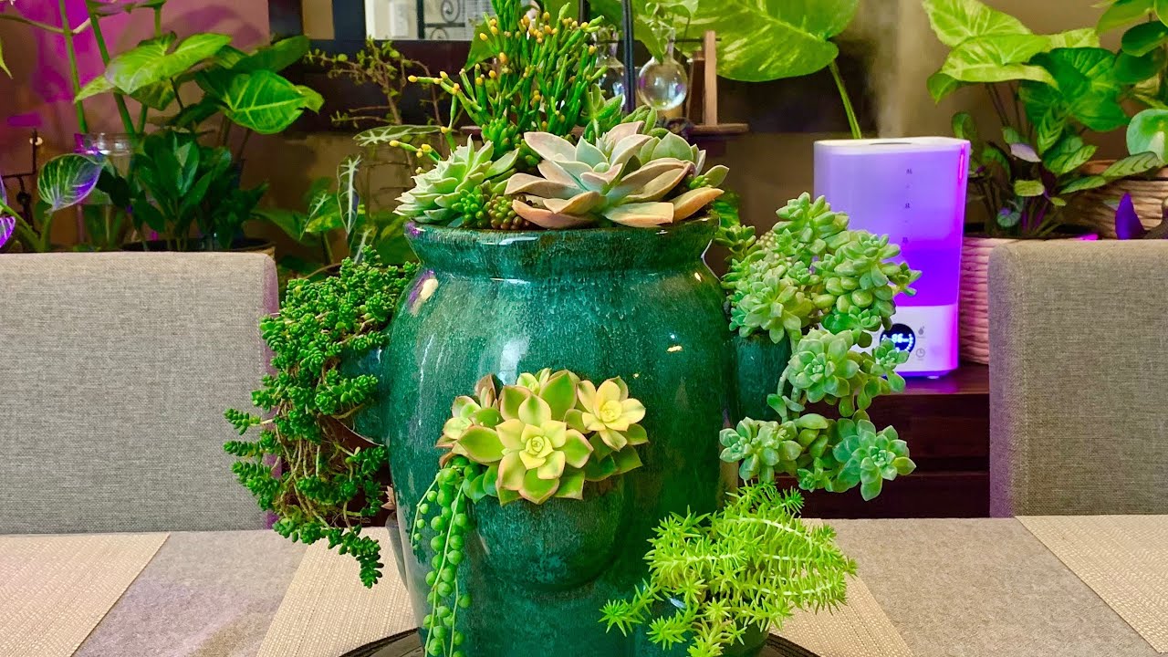 6 Pocket Planter Succulent Arrangement