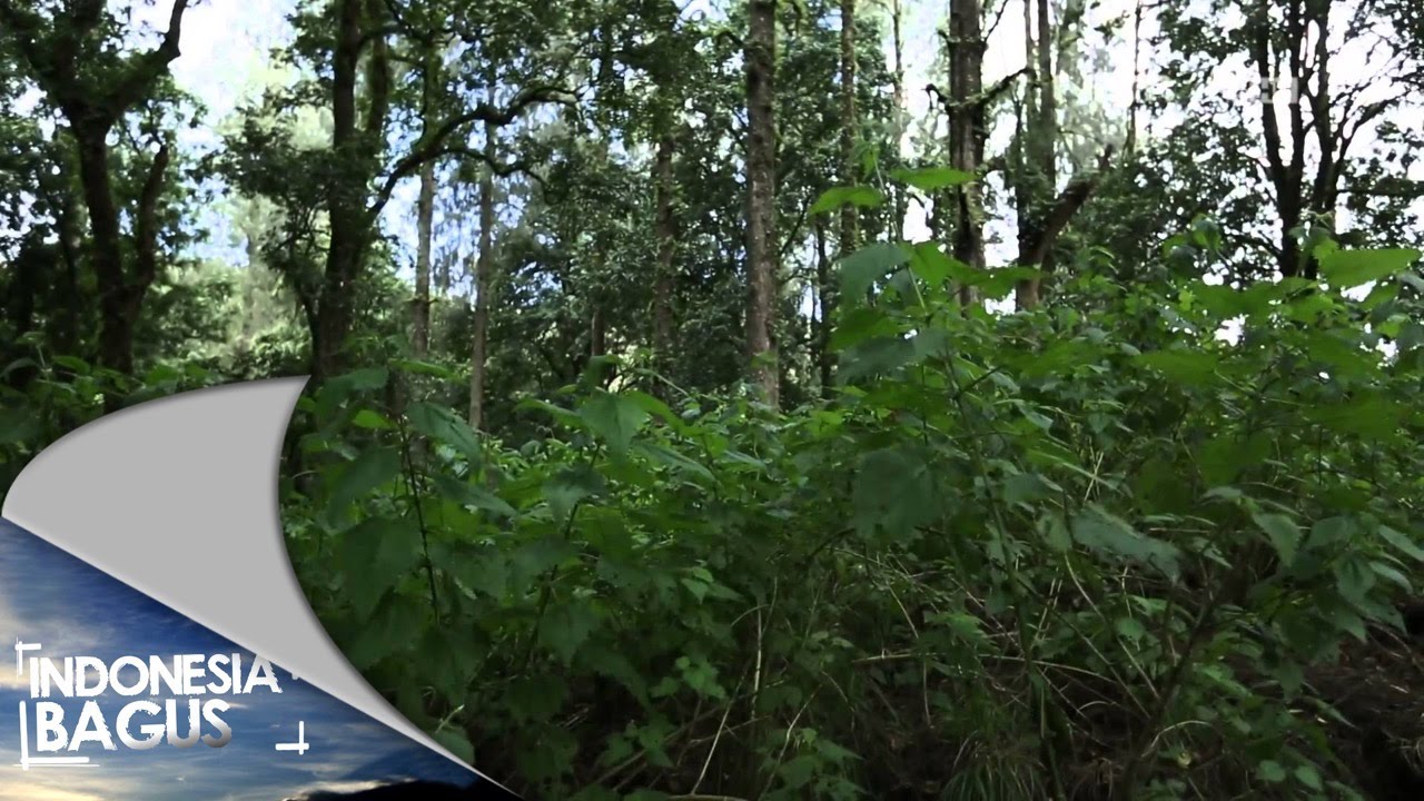 Indonesia Bagus - Gunung Tambora, Kabupaten Dompu, NTB