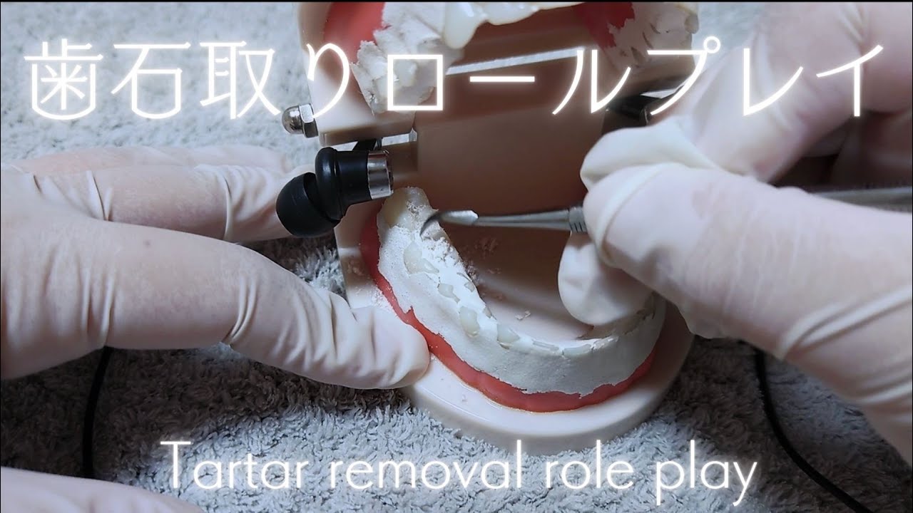 【ASMR】歯石が溜まりすぎて食べられなくなった人が歯医者に行きました【ロールプレイ風？】【音フェチ】