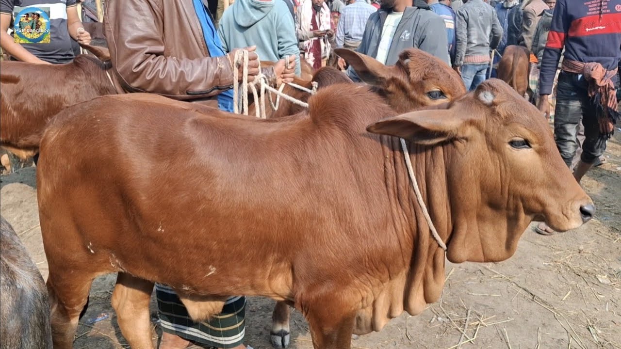 @ আজ ২৩ জানুয়ারী