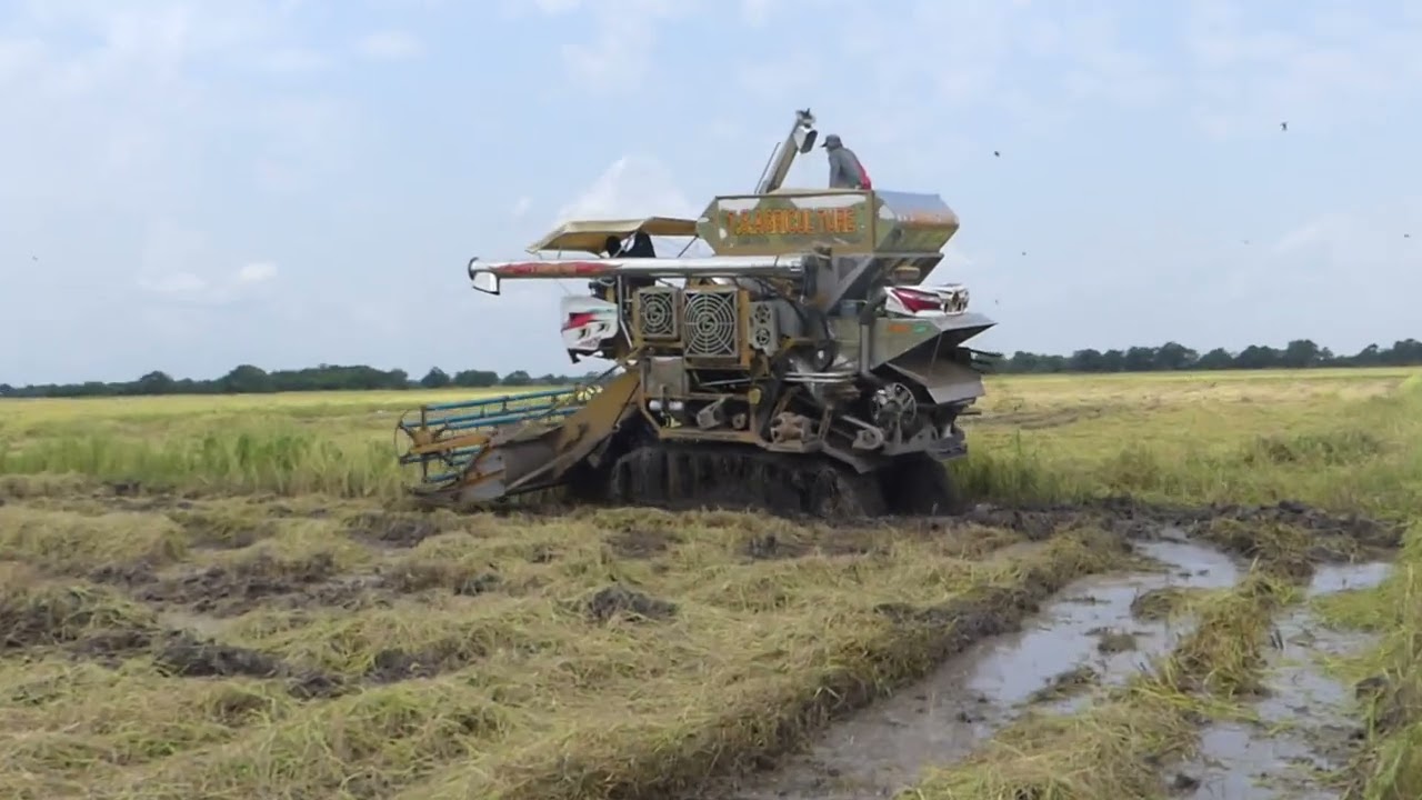 Large harvesting machine - Modern T S AGRICULTURE #machinery #farmer