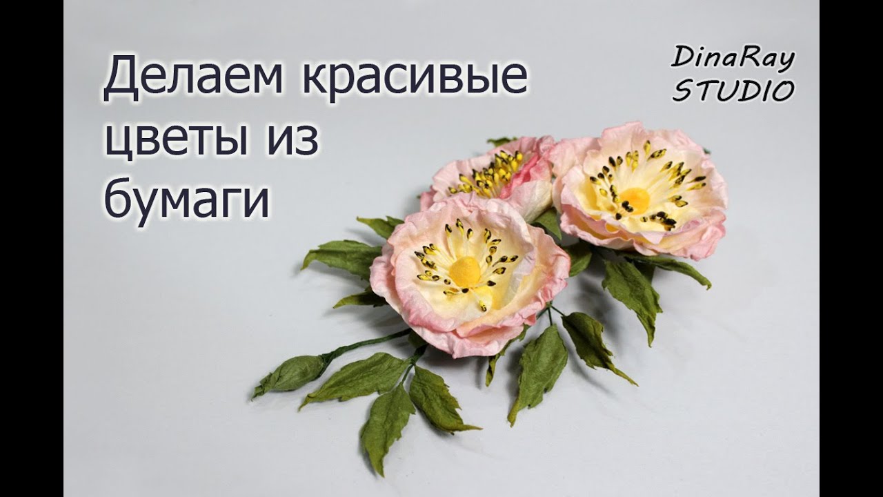 Красивые цветы из бумаги